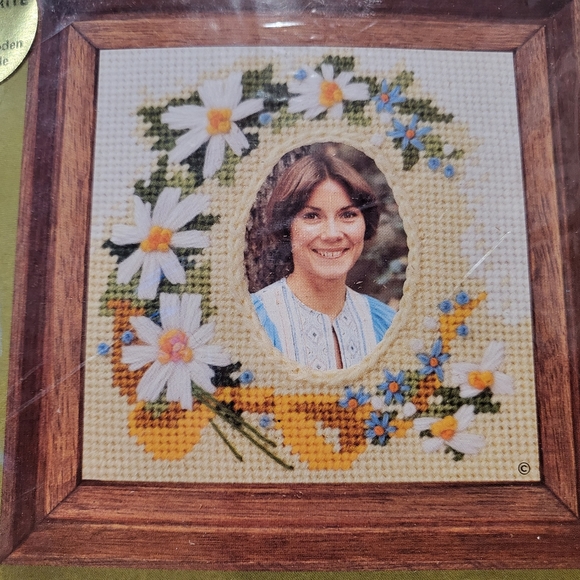 Jiffy Stitchery Embroidery Kit Photo Frame Brocolli Asparagus Crewel Mini Kits - Picture 3 of 6